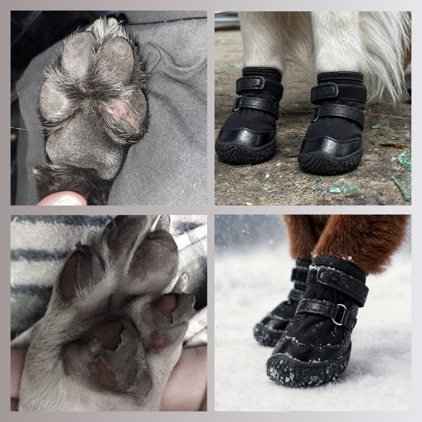 AeroPaw™ Dog Boots - Set Of 4