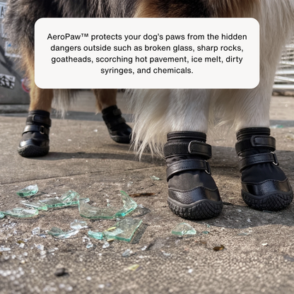 AeroPaw™ Dog Boots - Set Of 4